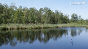 Bagno Chlebowo – romantyczne torfianki - zdjęcie 46