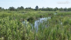 Bagno Chlebowo – romantyczne torfianki - zdjęcie 41