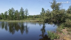 Bagno Chlebowo – romantyczne torfianki - zdjęcie 37