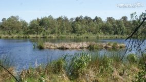 Bagno Chlebowo – romantyczne torfianki - zdjęcie 30