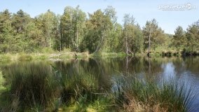 Bagno Chlebowo – romantyczne torfianki - zdjęcie 28