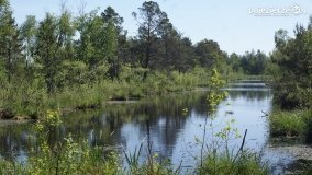 Bagno Chlebowo – romantyczne torfianki - zdjęcie 25