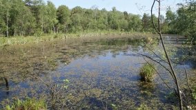 Bagno Chlebowo – romantyczne torfianki - zdjęcie 24