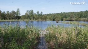 Bagno Chlebowo – romantyczne torfianki - zdjęcie 21