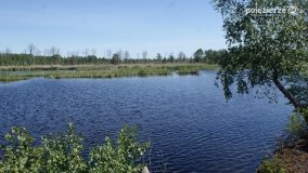 Bagno Chlebowo – romantyczne torfianki - zdjęcie 19