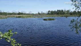 Bagno Chlebowo – romantyczne torfianki - zdjęcie 16