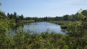 Bagno Chlebowo – romantyczne torfianki - zdjęcie 11