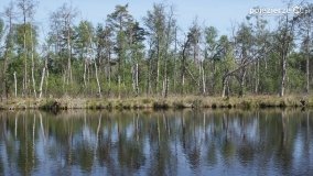 Bagno Chlebowo – romantyczne torfianki - zdjęcie 9