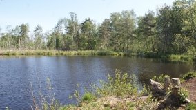 Bagno Chlebowo – romantyczne torfianki - zdjęcie 5