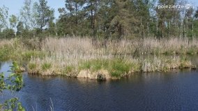 Bagno Chlebowo – romantyczne torfianki - zdjęcie 4