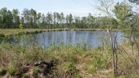 Bagno Chlebowo – romantyczne torfianki - zdjęcie 3