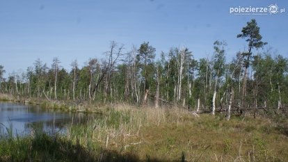 Bagno Chlebowo – romantyczne torfianki