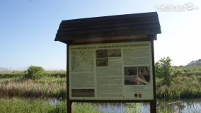 „Stawy Kiszkowskie” - zdjęcie 72