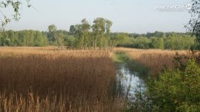 „Stawy Kiszkowskie” - zdjęcie 71