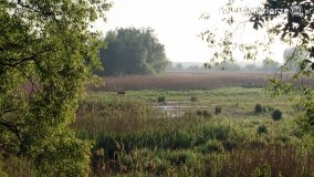 „Stawy Kiszkowskie” - zdjęcie 70