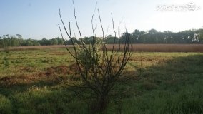 „Stawy Kiszkowskie” - zdjęcie 64