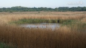 „Stawy Kiszkowskie” - zdjęcie 63