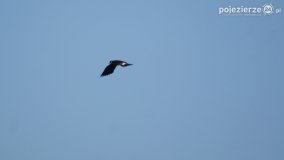 „Stawy Kiszkowskie” - zdjęcie 62