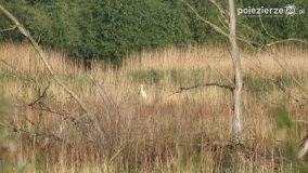 „Stawy Kiszkowskie” - zdjęcie 61