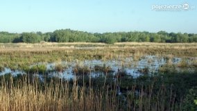 „Stawy Kiszkowskie” - zdjęcie 54