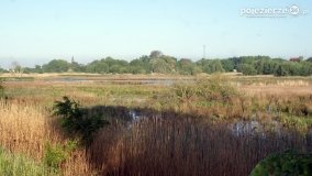 „Stawy Kiszkowskie” - zdjęcie 51