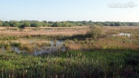 „Stawy Kiszkowskie” - zdjęcie 50