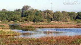 „Stawy Kiszkowskie” - zdjęcie 49
