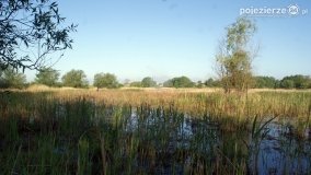 „Stawy Kiszkowskie” - zdjęcie 41