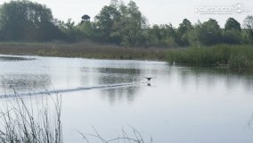 „Stawy Kiszkowskie” - zdjęcie 40