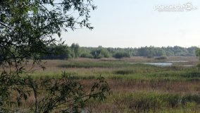 „Stawy Kiszkowskie” - zdjęcie 37