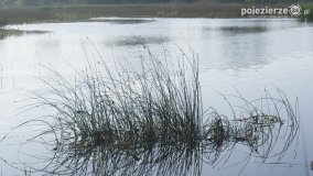 „Stawy Kiszkowskie” - zdjęcie 33