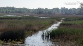 „Stawy Kiszkowskie” - zdjęcie 32
