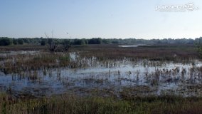 „Stawy Kiszkowskie” - zdjęcie 31