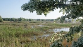 „Stawy Kiszkowskie” - zdjęcie 28