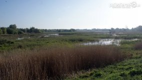 „Stawy Kiszkowskie” - zdjęcie 26