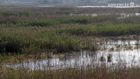 „Stawy Kiszkowskie” - zdjęcie 25