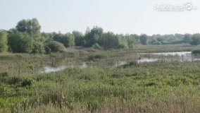 „Stawy Kiszkowskie” - zdjęcie 24