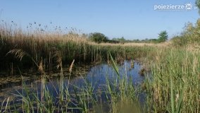 „Stawy Kiszkowskie” - zdjęcie 16