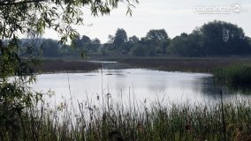 „Stawy Kiszkowskie” - zdjęcie 15