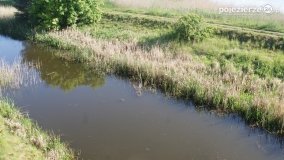 „Stawy Kiszkowskie” - zdjęcie 12