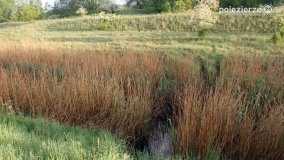 „Stawy Kiszkowskie” - zdjęcie 9