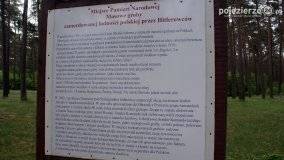  - zdjęcie 16