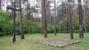 Mogiły w Lasach Rożnowickich - zdjęcie 42