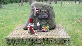 Mogiły w Lasach Rożnowickich - zdjęcie 41