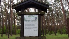 Mogiły w Lasach Rożnowickich - zdjęcie 37