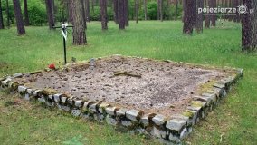 Mogiły w Lasach Rożnowickich - zdjęcie 36
