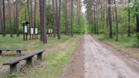 Mogiły w Lasach Rożnowickich - zdjęcie 34