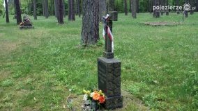 Mogiły w Lasach Rożnowickich - zdjęcie 33