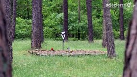 Mogiły w Lasach Rożnowickich - zdjęcie 32