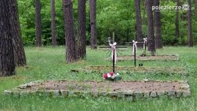 Mogiły w Lasach Rożnowickich - zdjęcie 30